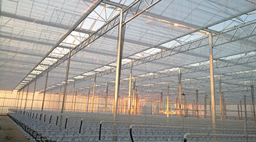 Estructura de invernadero industrial Alvatec